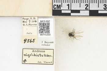 Media type: image;   Entomology 771222 Aspect: Labels